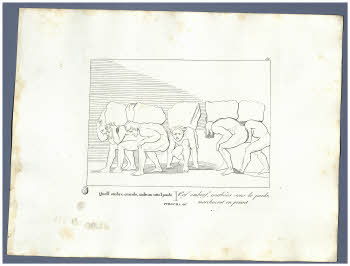 Visualizza l'immagine "Albo D 278, tav. 59"